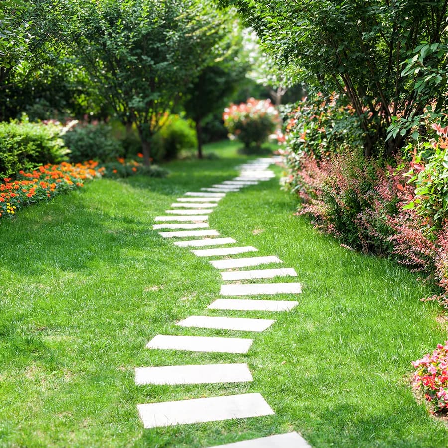 A garden path